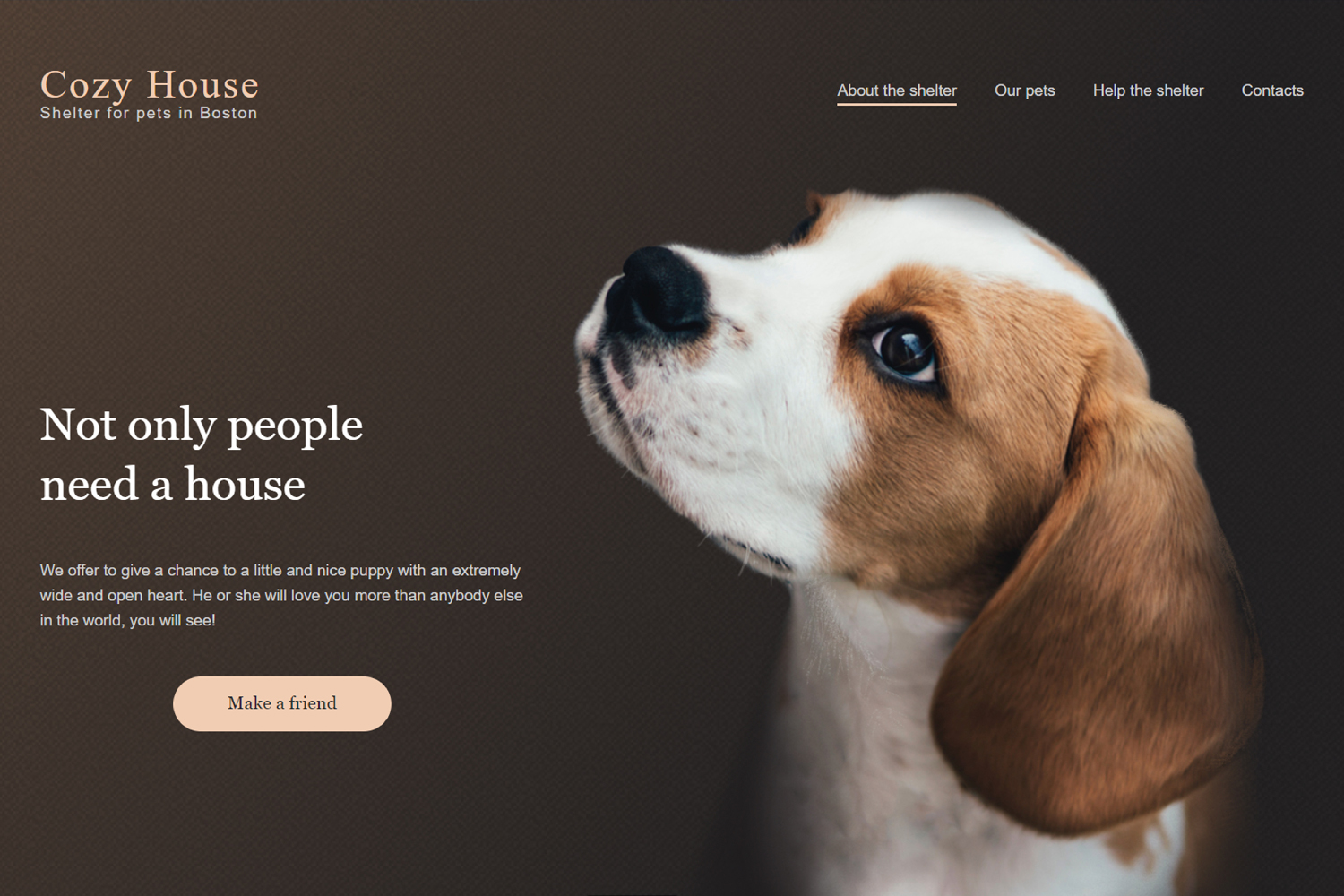 Shelter Dogs and Cats